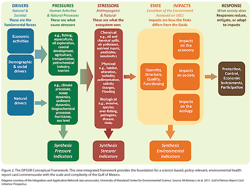 This diagram provides the framework for a science-based, policy-relevant, environmental health report card.
