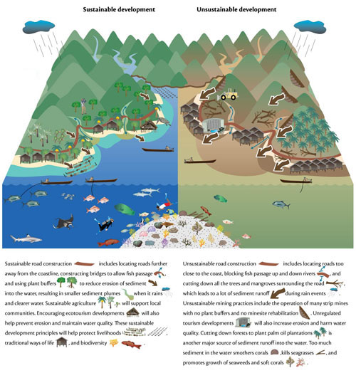 The Bird's Head Seascape in West Papua | Blog | Integration and ...