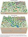 Conceptual diagram that illustrates the elements that contribute to a enviromentally sustainable community versus an unmanaged, unsustainable community.