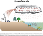 Conceptual diagram illustrating the process in which acid rain is produced.