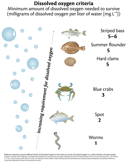 Conceptual diagram illustrating the minimum amounts of oxygen that different aquatic organisms needs to survive.