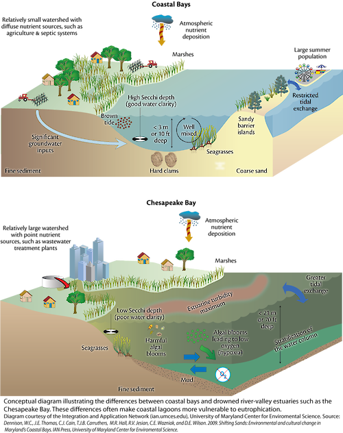 Conceptual diagram illustrating the differentiating aspects between a coastal bay, and a larger river-valley bay, more specifically, The Chesapeake Bay.