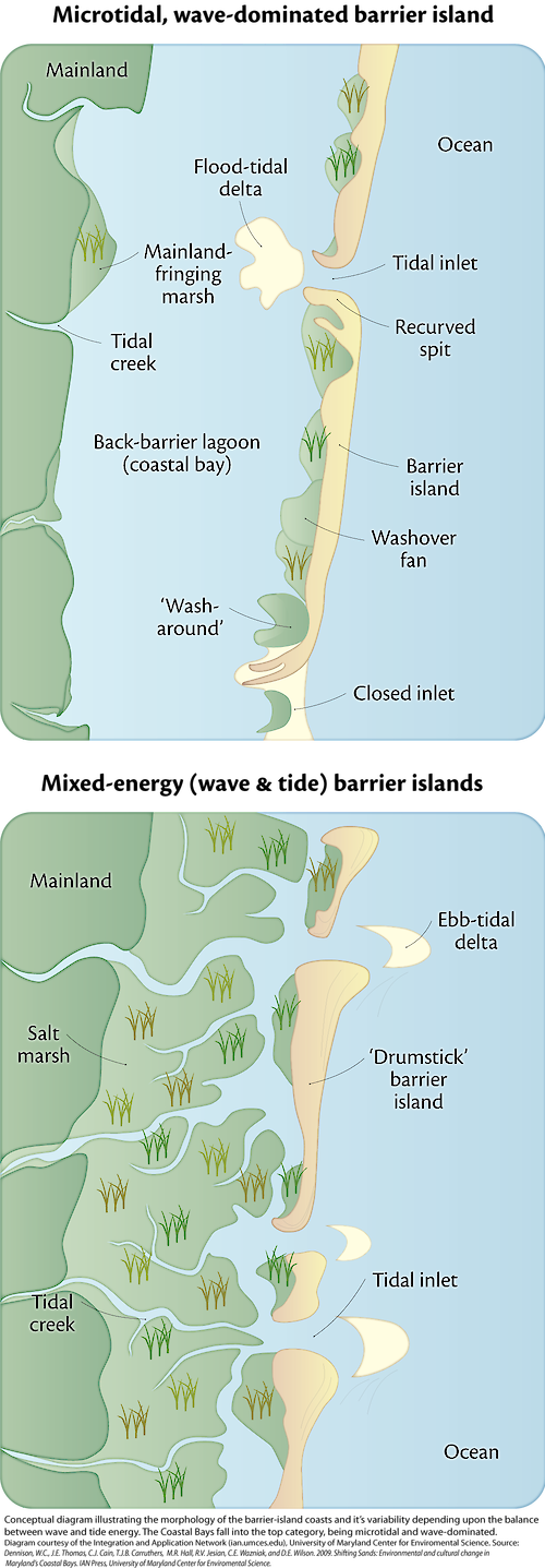 Conceptual diagram illustrating the differences in how barrier islands are formed along the shore. The structure of the island depends mainly on the balance between wave and tide energy.