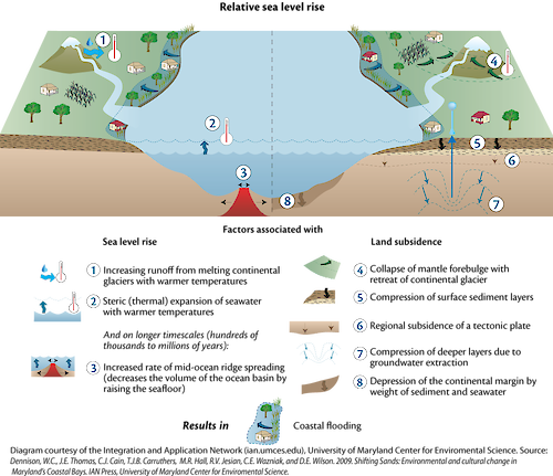 Implications of anomalous relative sea-level rise for the peopling