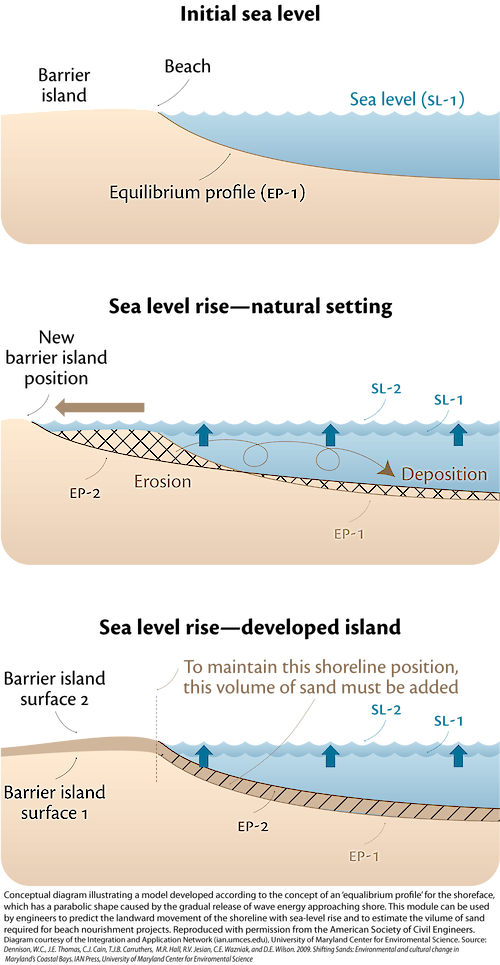 Conceptual diagram illustrating the 'Brunn rule', which is used to predict the landward movement of the shoreline relative to sea-level rise. This consists of developing an 'equilibrium profile' for the shoreface, which is shaped by the gradual release of wave energy approaching the shore.