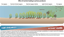 Conceptual diagram illustrating the changes that occur in an underwater ecosystem as the nutrient load increases.