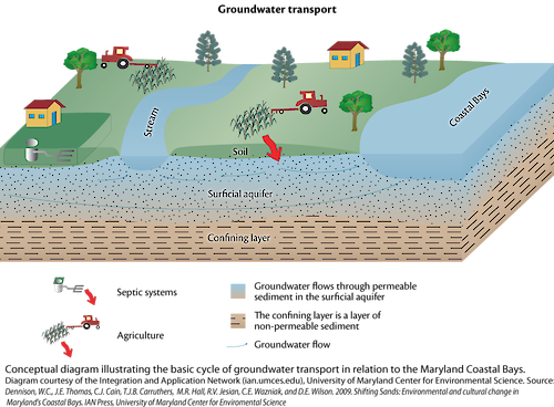 Conceptual diagram illustrating the transport of groundwater in relation to the Coastal Bays, including the deposition of nutrients.
