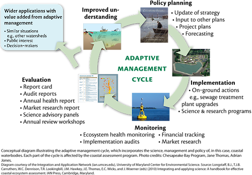 Conceptual Diagram illustrating the cycle in which environmental management can use to improve an understanding of the issue, plan policy, implement action, and monitor progress, and how each affect one another.