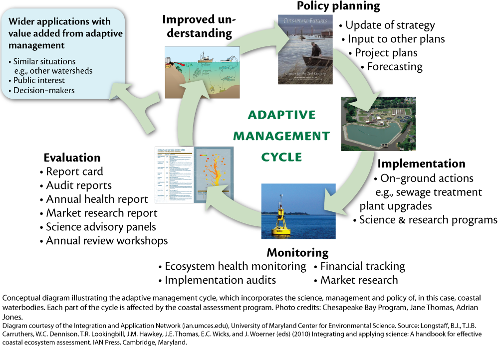 Adaptive management cycle Media Library Integration and Application Network