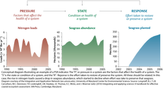 Conceptual diagram illustrating the factors that affect the heath of a system, the overall condition of that system, and how the response of society correlates with those aspects.