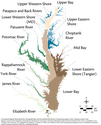 Conceptual diagram illustrating how an estuary can be divided in ecological reporting.