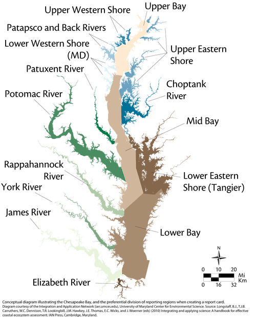 Conceptual diagram illustrating how an estuary can be divided in ecological reporting.