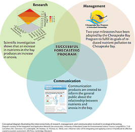 Interconnectivity of research, management and communication