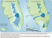 A comparison of the current water flow in the Everglades (East to West), versus the historically North-South flow.