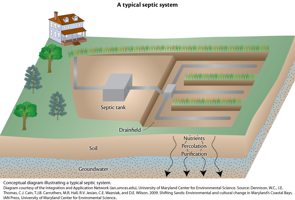 Septic system media library integration and application network