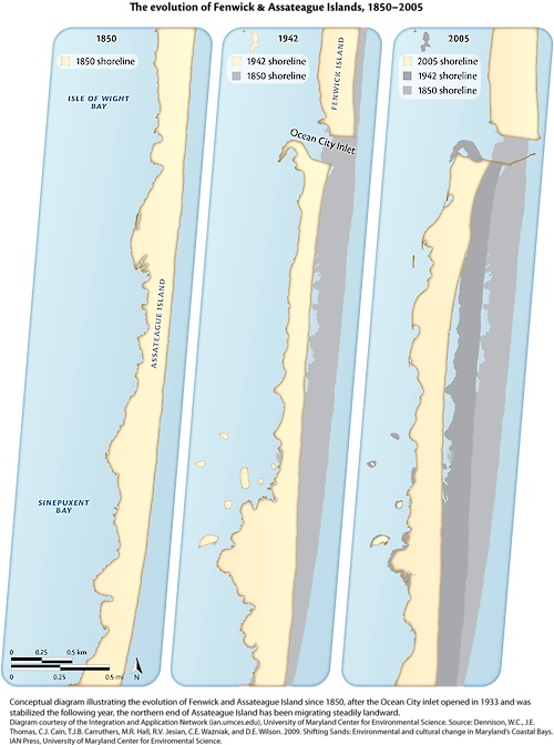 Conceptual diagram illustrating the shoreline change of Fenwick and Assateague Island since 1850.