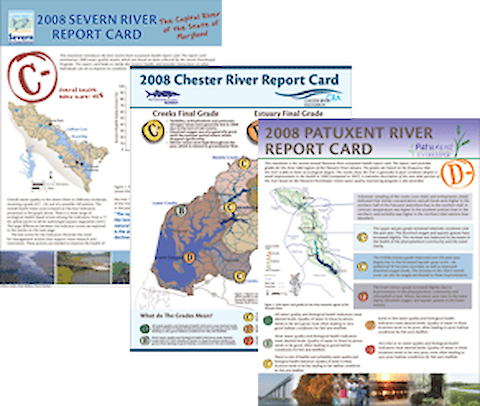 IAN has produced several tributary report cards based on citizen science monitoring programs.