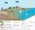 This conceptual diagram illustrates the sources, both anthropogenic and natural, of bacteria in the water column, as well as the factors that influence the survival of the bacteria.
