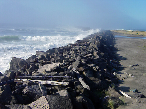 The shoreline of the Columbia river esuary in between Oregon and Washington. This also serves as an example of a hard shoreline, which provides little habitat and benefit for wildlife.