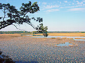 Pictorial of the Jug Bay Wetlands Sanctuary in Maryland, USA