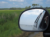 Looking out over the the wetlands from a vehicle in Virginia, USA