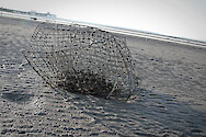 A washed up crab trap on the beach of the Chesapeake Bay, Maryland