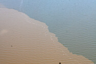 Aerial View of sediment plumes in the Chesapeake Bay