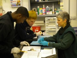 Scientific Mentoring of Easton High Students