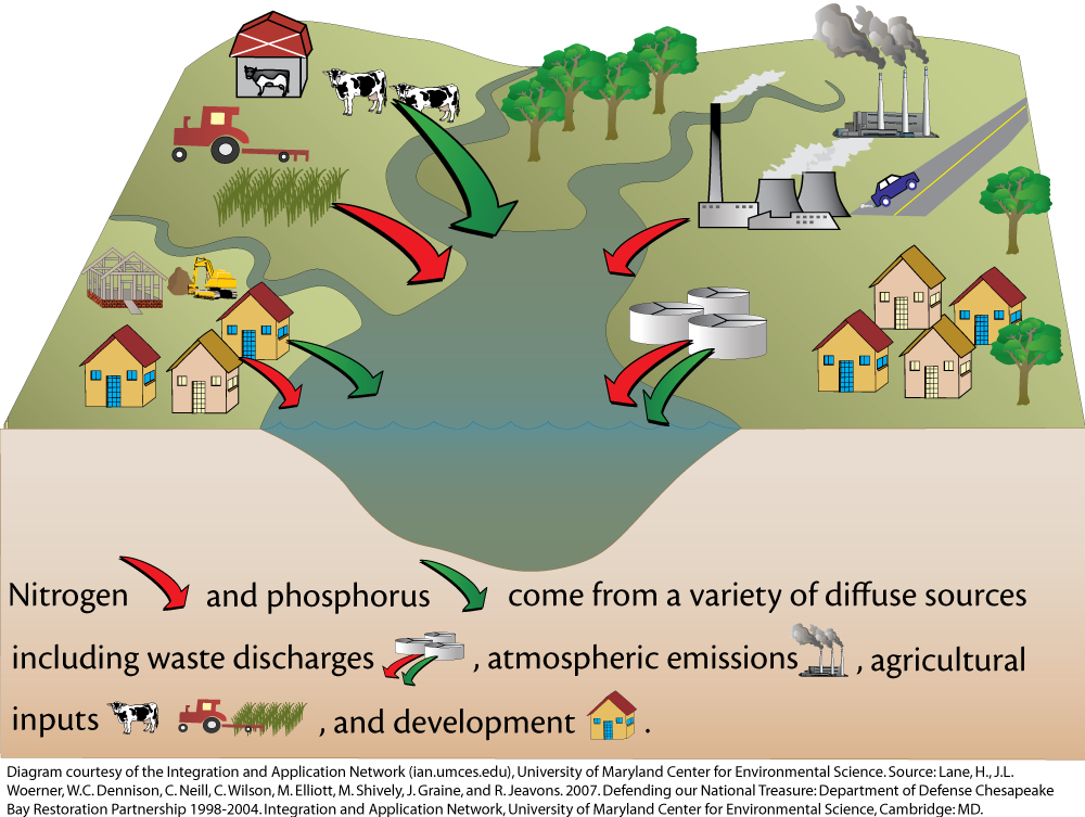 Sources Of Nitrogen phosphorus Deposition Media Library Integration 