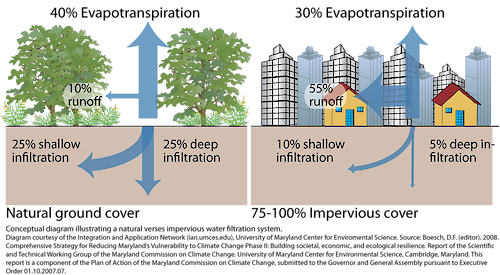 Conceptual diagram illustrating how the filtration capacity of a natural system is much larger.