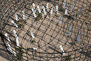 These cages protect sea beach amaranth, an endangered species, from deer and wild horses