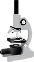 Front view illustration of a microscope.