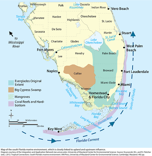 Conceptual diagram illustrating the south Florida marine environment, which is closely linked to upland and upstream influence.