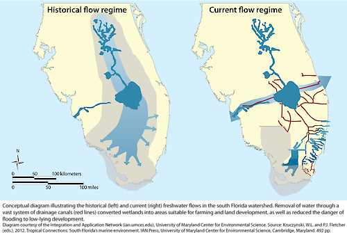 Conceptual diagram illustrating the historical (left) and current (right) freshwater flows in the south Florida watershed.