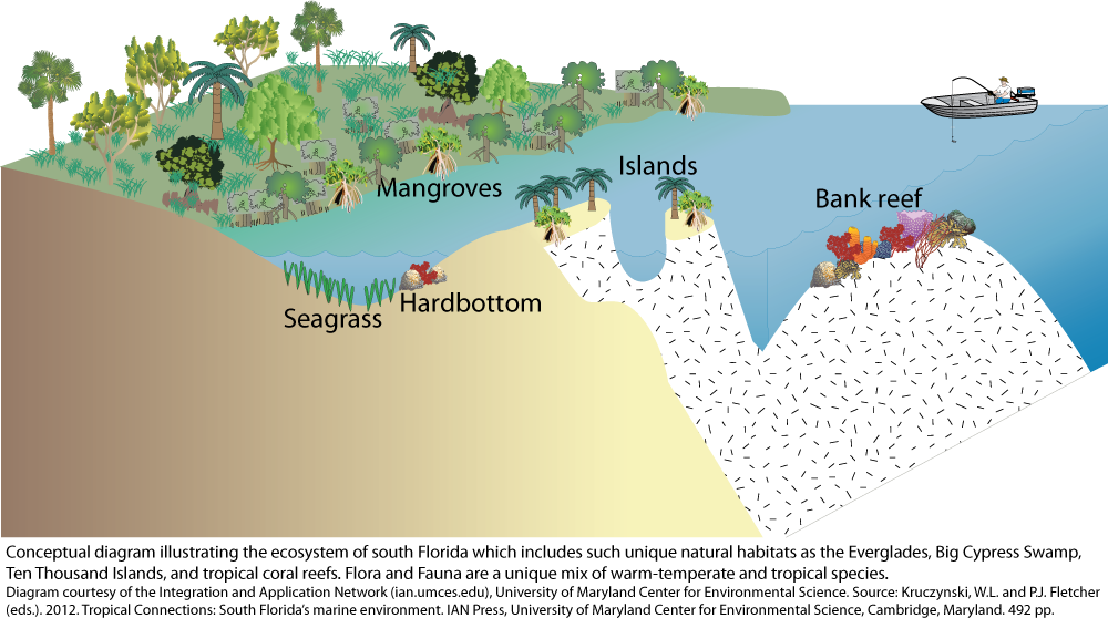 South Florida habitats Media Library Integration and Application