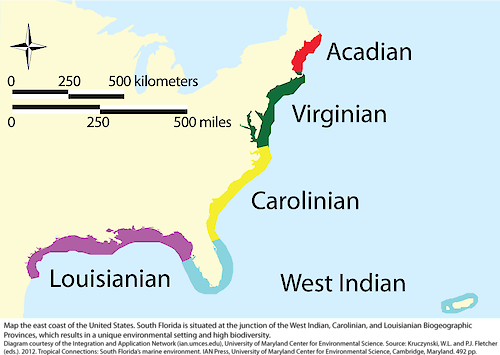 Map of the biogeographic provinces of the east coast of the United States.