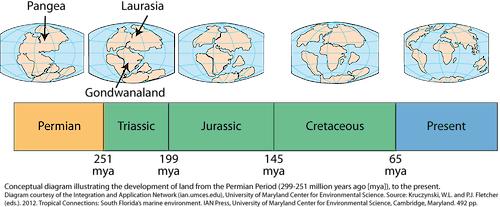 Conceptual diagram illustrating the development of land from the Permian Period (299-251 million years ago [mya]), to the present.
