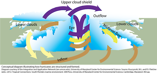 Hurricane Formation Media Library Integration And Application Network