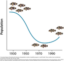 Conceptual diagram illustrating the biomass and population numbers of goliath groupers in south Florida.