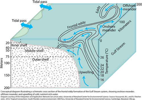 Conceptual diagram illustrating a schematic cross section of the frontal eddy formation of the Gulf Stream system. 
