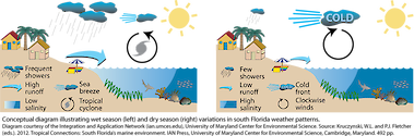 Conceptual diagram illustrating wet season (left) and dry season (right) variations in south Florida weather patterns.