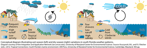 Conceptual diagram illustrating wet season (left) and dry season (right) variations in south Florida weather patterns.