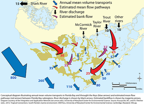 Conceptual diagram illustrating annual mean water volume transports in Florida Bay and through the Keys.