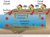 Conceptual diagram illustrating cesspool seepage into a residential canal prior to improved wastewater treatment.