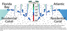 Conceptual diagram illustrating a cross section of an array of sampling wells surrounding a Class V injection well to determine rate and direction of wastewater plume and concentration of nutrients as the plume moves through limestone.