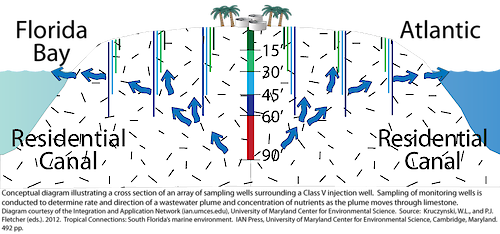 Conceptual diagram illustrating a cross section of an array of sampling wells surrounding a Class V injection well to determine rate and direction of wastewater plume and concentration of nutrients as the plume moves through limestone.