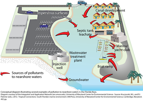 Conceptual diagram illustrating several of the sources of pollution to nearshore waters in the Florida Keys.