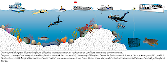 Conceptual diagram illustrating that effective management can reduce user conflicts in marine environments.