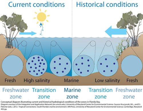 Conceptual diagram illustrating current and historical hydrological conditions of the zones in Florida Bay.
