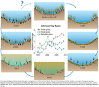 Conceptual diagram illustrating changes in seagrasses in Johnson Key Basin, Western Florida Bay, and the relative coverage of seagrass species.
